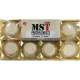 MST Nutrition Sweets Protein фото №3 | магазин спортивного питания Strongest