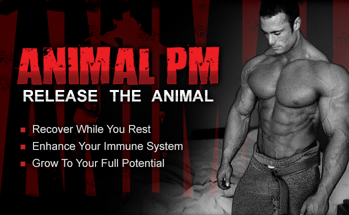 Animal PM поможет Вам крепко спать и хорошо восстанавливаться после тренеровки