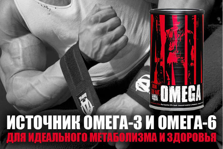 Animal Omega для здорового занятия спортом Animal Omega для здорового занятия спортом