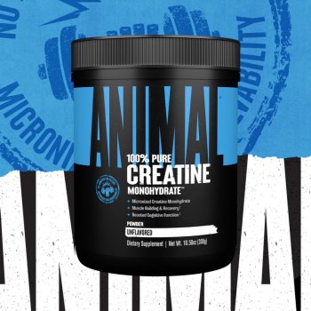 Креатин Universal Nutrition Animal 100% Pure Creatine Monohydrate виробництво США