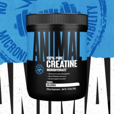 Animal 100% Pure Creatine Monohydrate