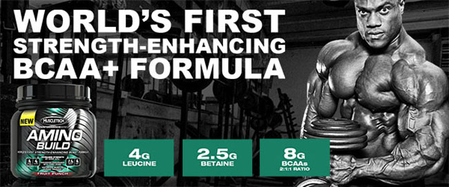 Amino Build BCAA + Formula